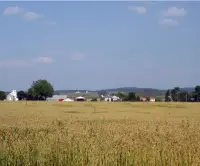 Plumbing & Drain Services